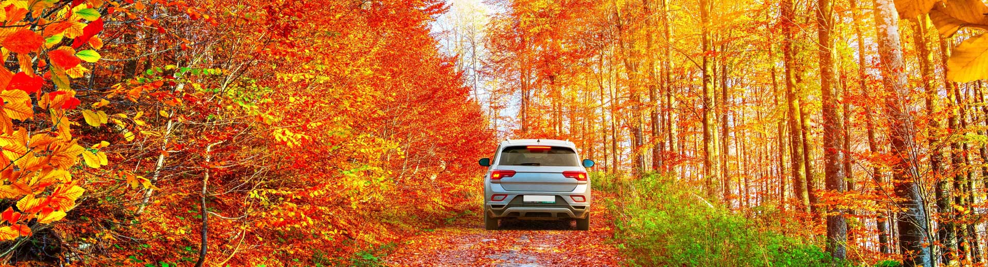 Gezilecek En Güzel Sonbahar Rotaları