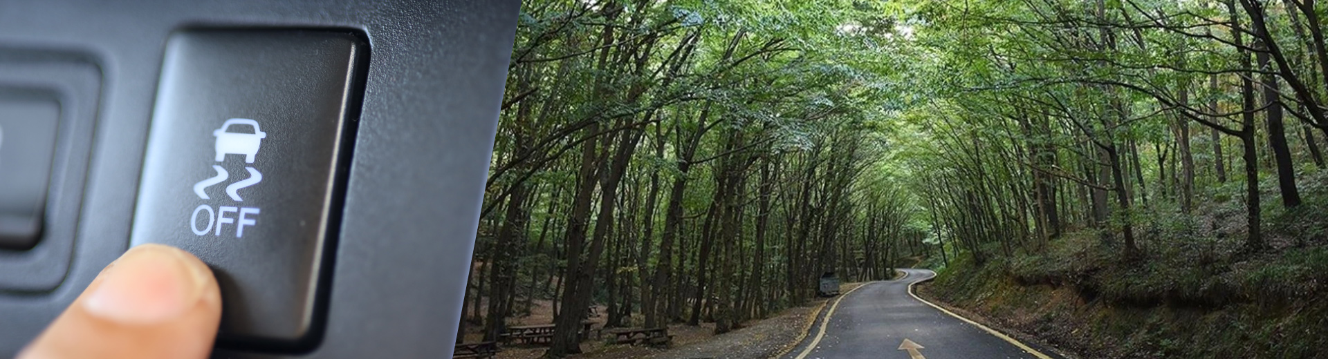 ESP Nedir, Ne İşe Yarar?