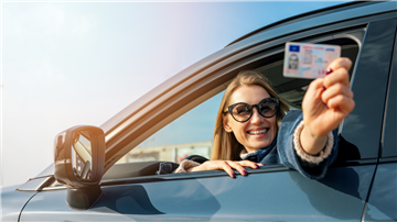 What is a B1 Driver's License?