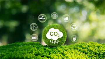 What are Carbon Emissions?