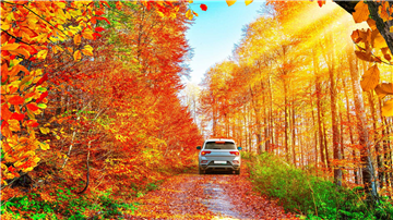  The Most Beautiful Autumn Routes to Visit