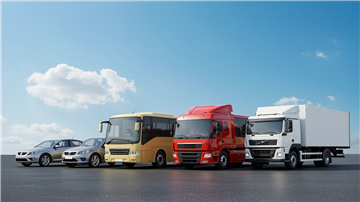 What is the SRC Certificate? Types and Characteristics