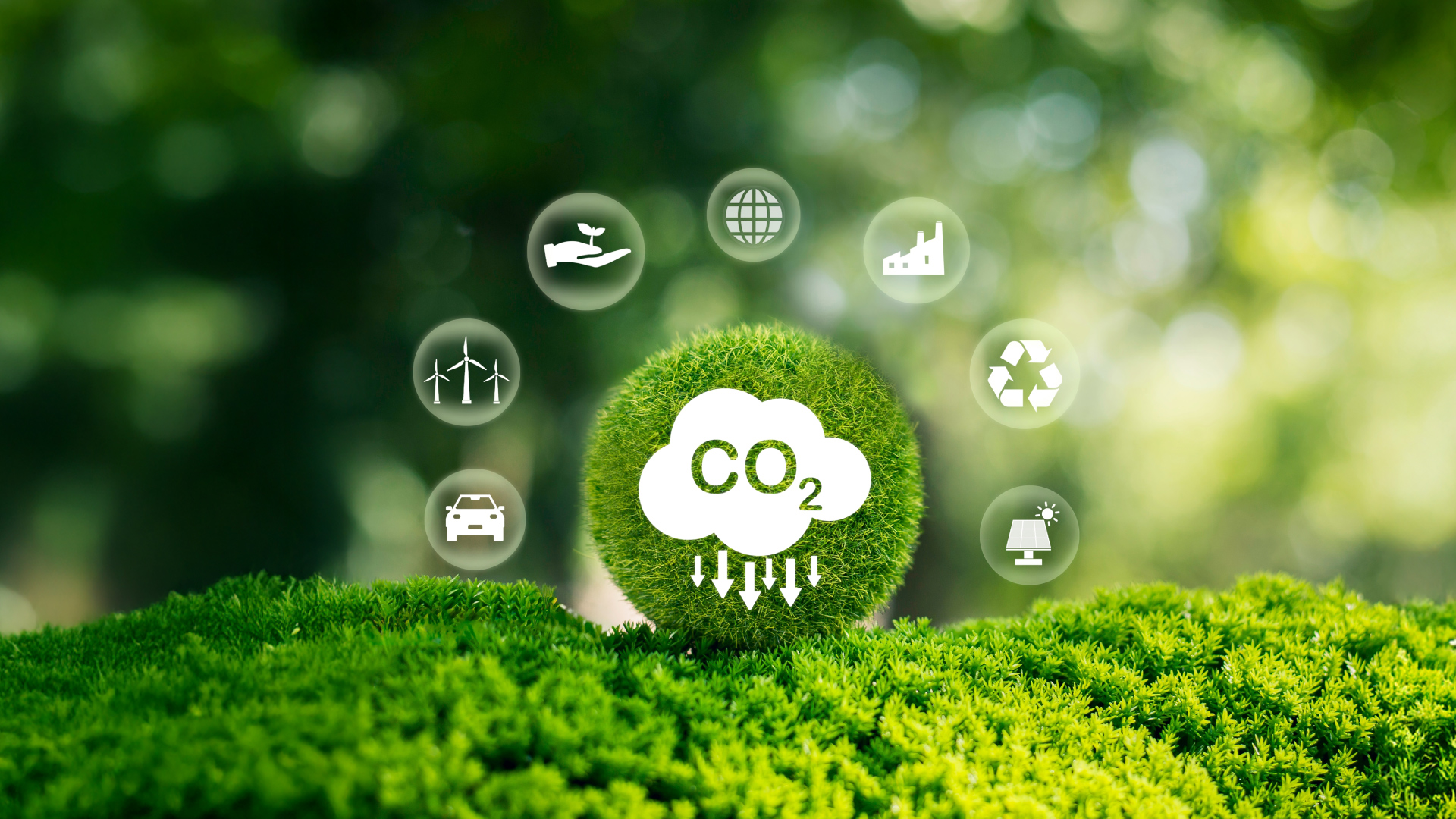 What are Carbon Emissions?