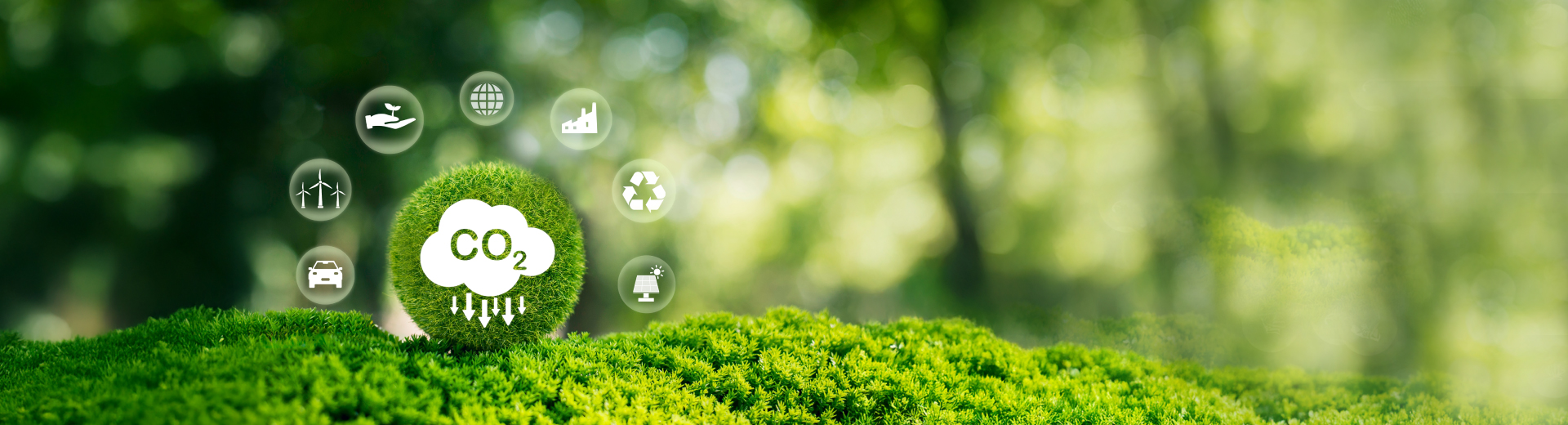 What are Carbon Emissions?