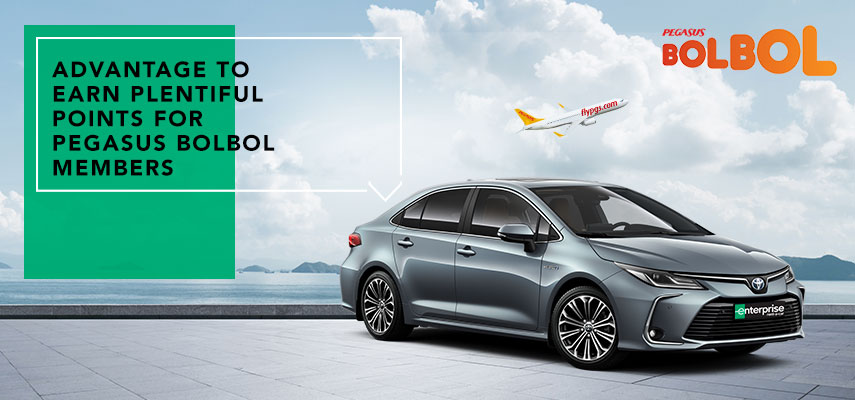 World S Largest Car Rental Company
