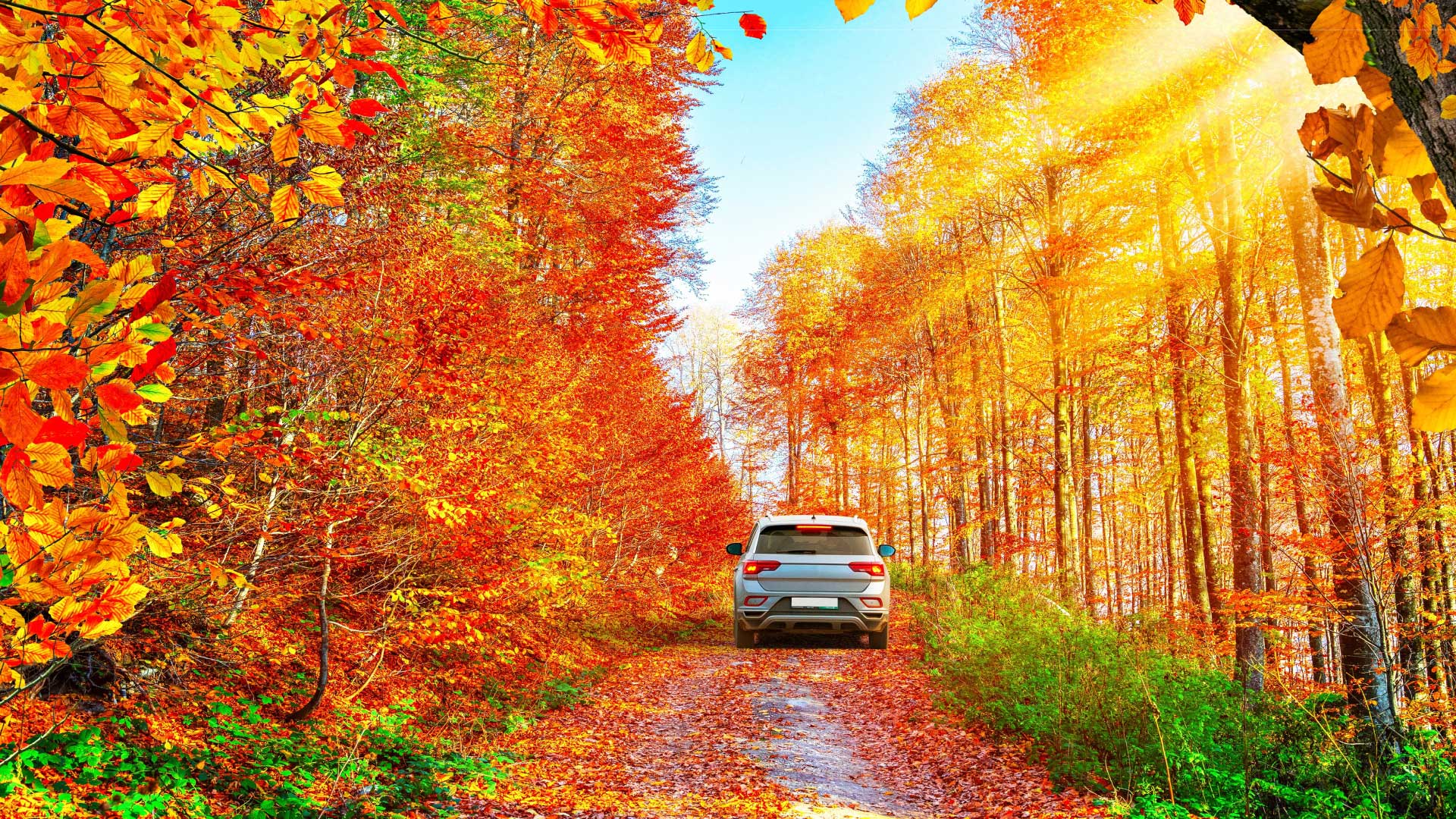  The Most Beautiful Autumn Routes to Visit